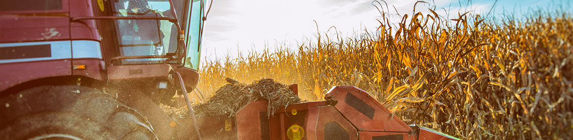 farmland solutions field during harvest