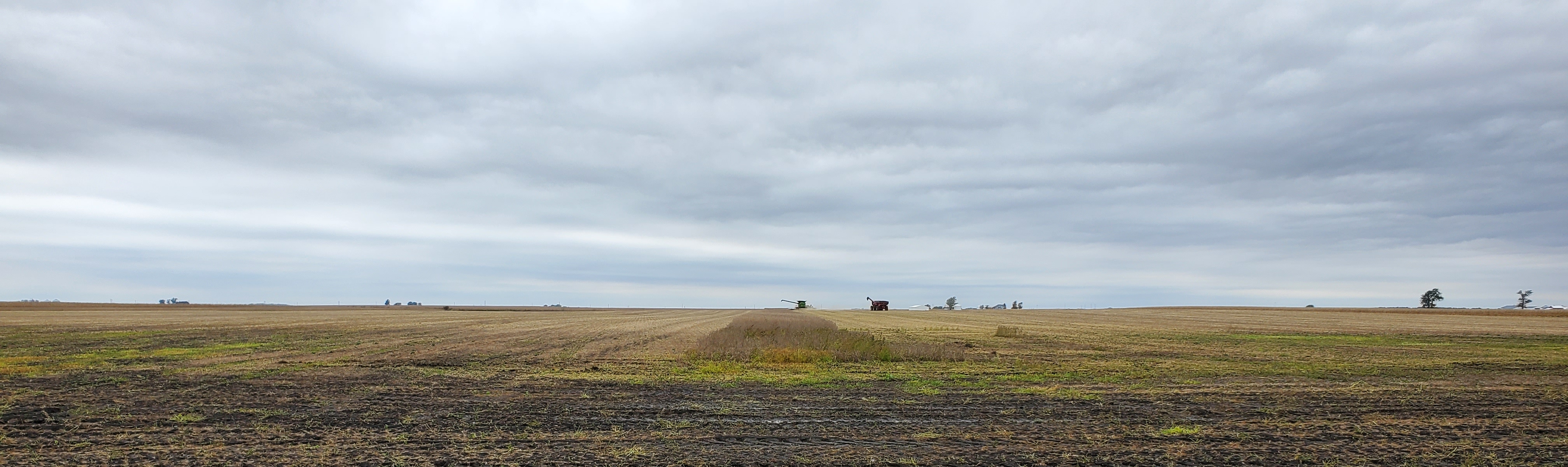 farmland solutions field during harvest