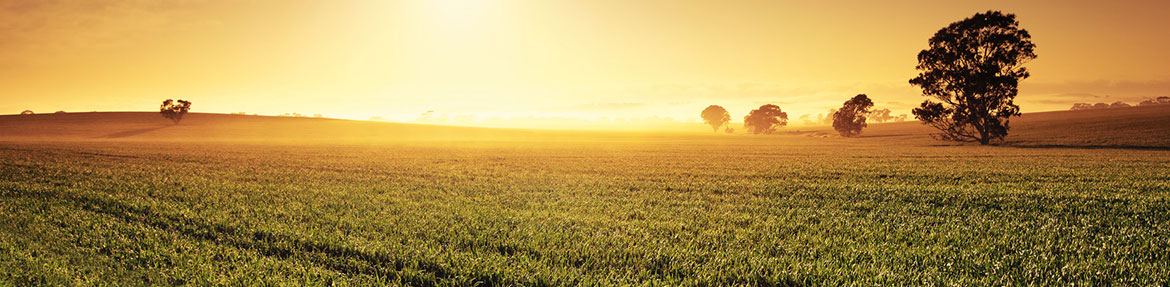 farmland solutions field at sunset